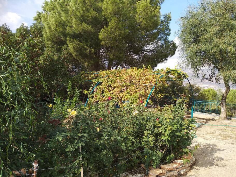 הבית ליד הבוסתן Mikhmannim Екстериор снимка